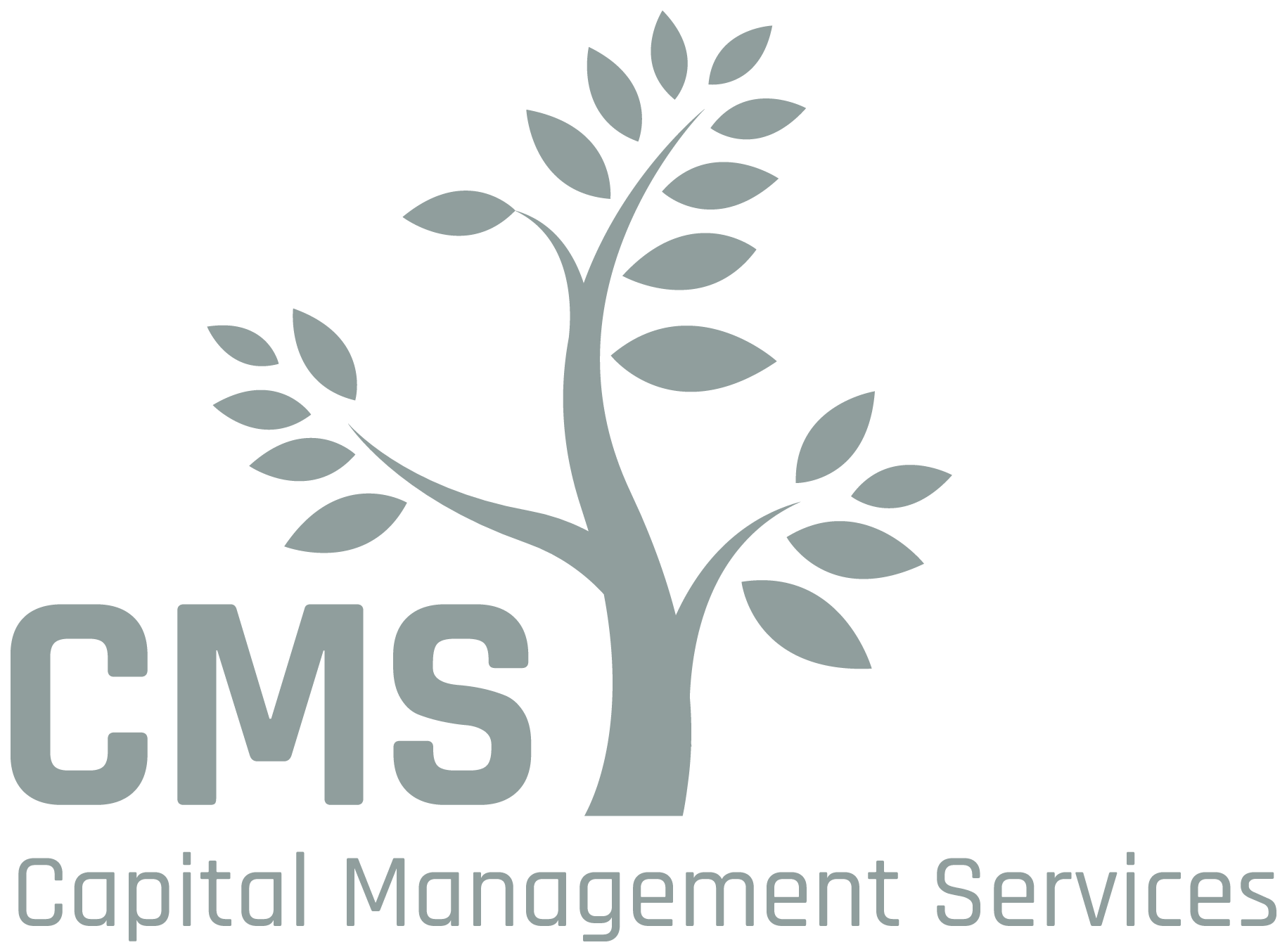 CMS Logo